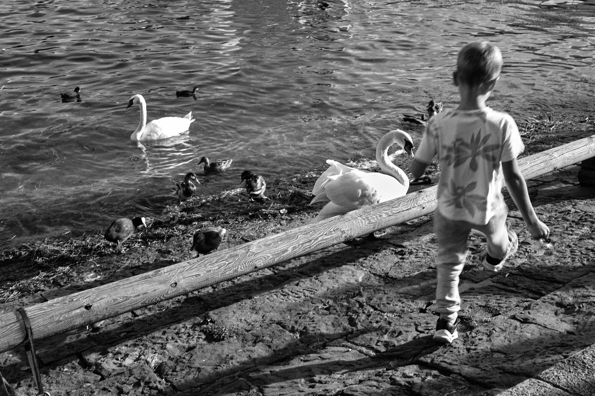 Curiosity meeting grace